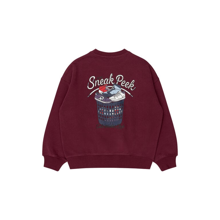 The New THE NEW sweater jongen Vitalio Burgundy (bordeaux)