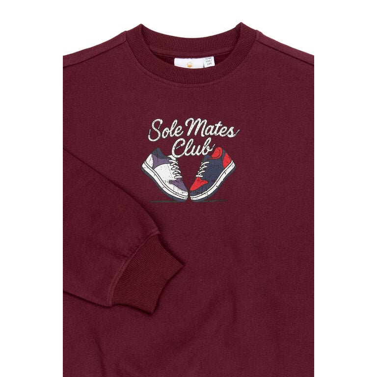 The New THE NEW sweater jongen Vitalio Burgundy (bordeaux)