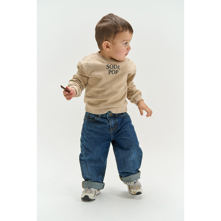 The New THE NEW sweater jongen Valter Humus (zand)