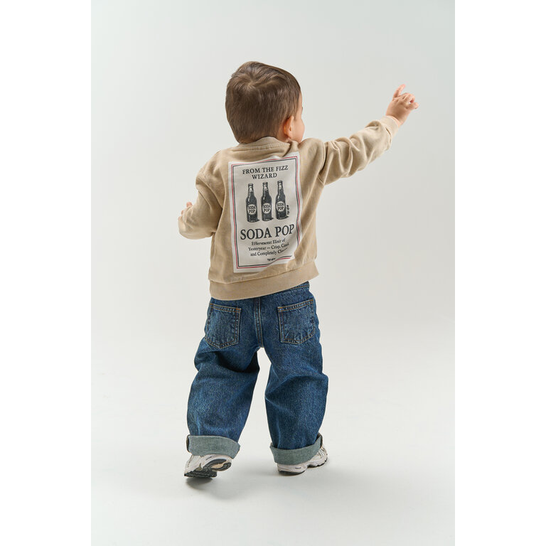 The New THE NEW sweater jongen Valter Humus (zand)