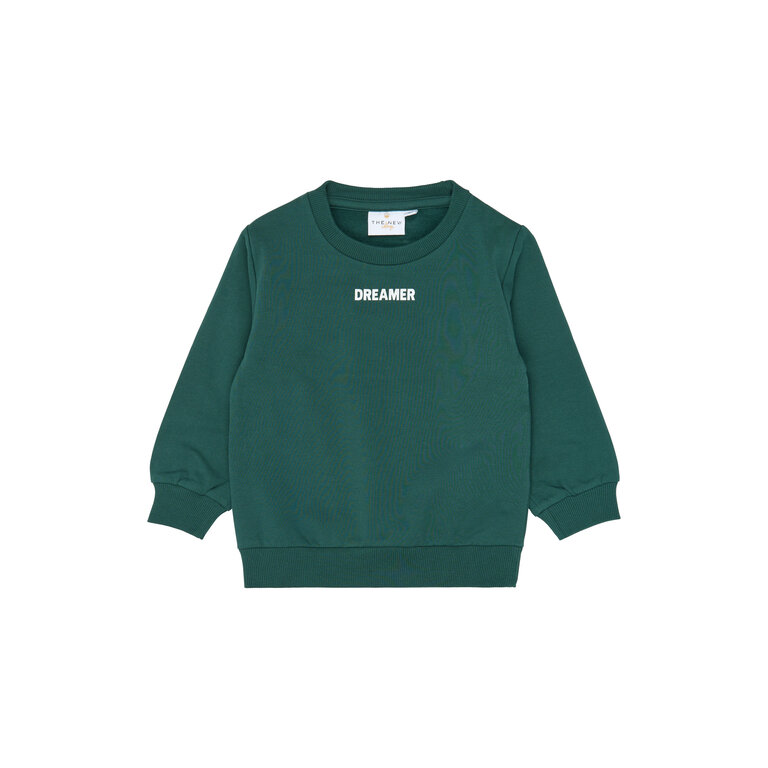 The New THE NEW sweater jongen Villers June Bug