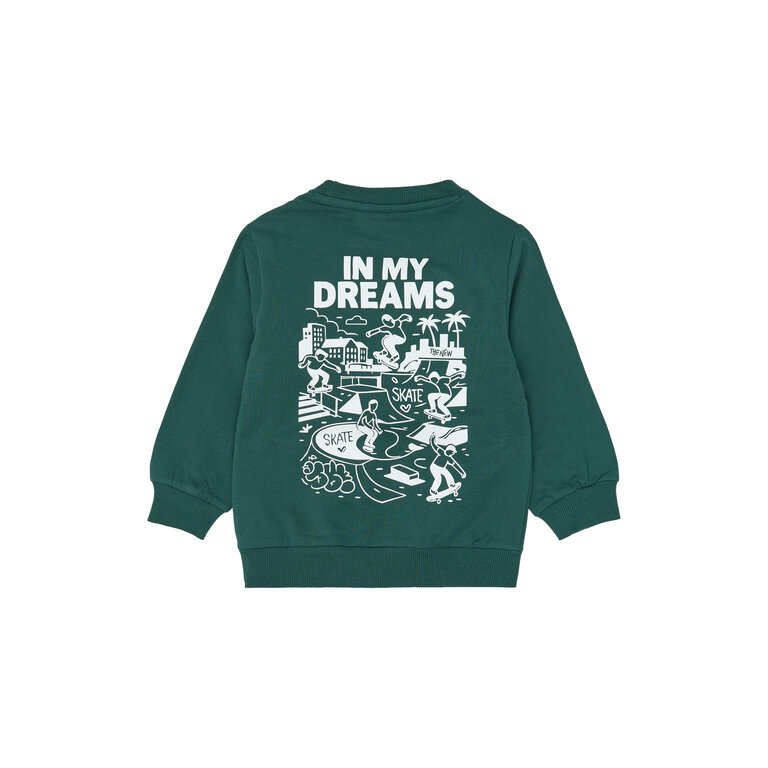 The New THE NEW sweater jongen Villers June Bug