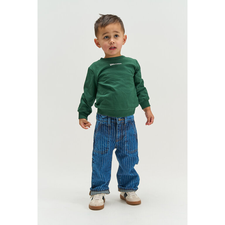 The New THE NEW sweater jongen Villers June Bug