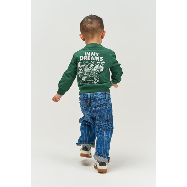 The New THE NEW sweater jongen Villers June Bug