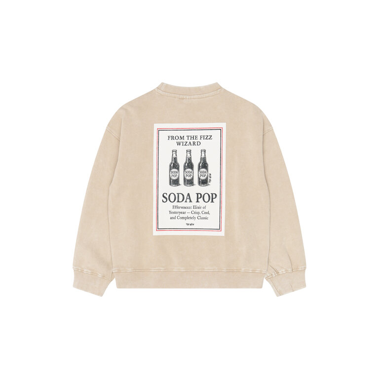 The New THE NEW sweater jongen Valente Humus (zand)