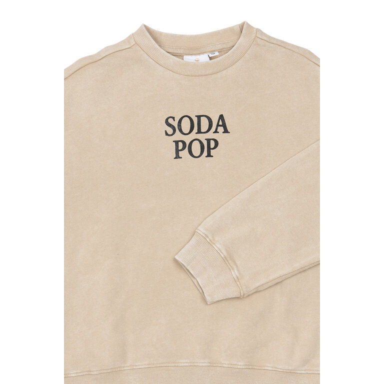 The New THE NEW sweater jongen Valente Humus (zand)