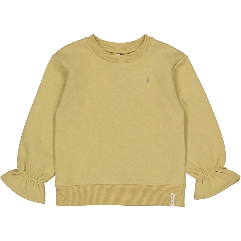 Levv LEVV sweater meisjes Dante Light Green (lichtgroen)