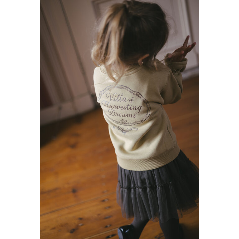 Levv LEVV sweater meisjes Dante Light Green (lichtgroen)