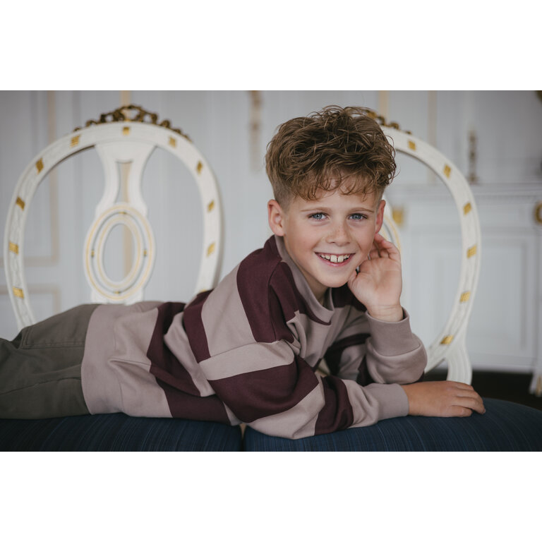 Levv LEVV sweater jongen Dax AOP Grey Stripe (bordeaux gestreept)