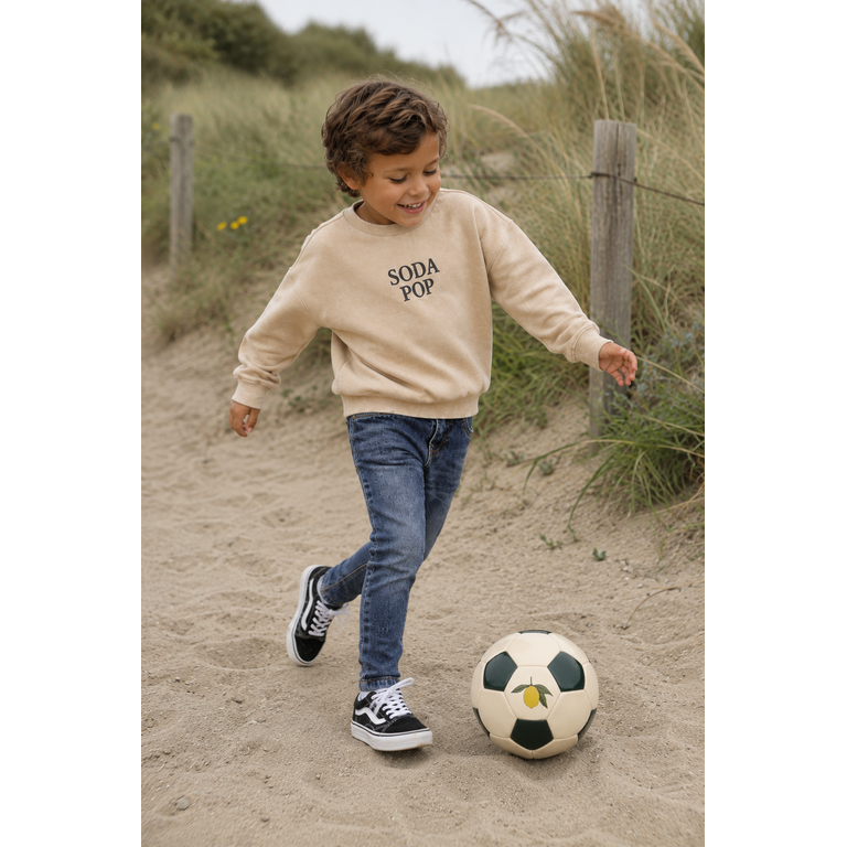 The New THE NEW sweater jongen Valente Humus (zand)