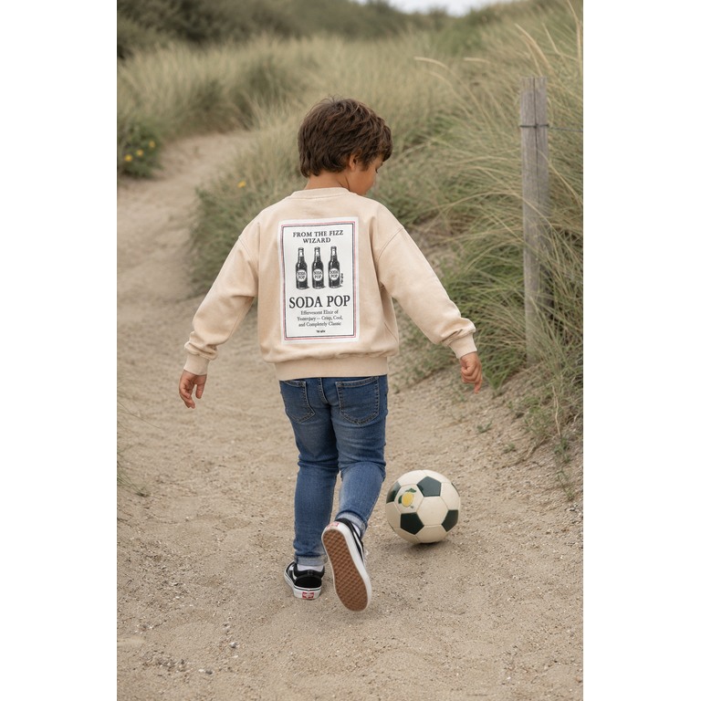 The New THE NEW sweater jongen Valente Humus (zand)