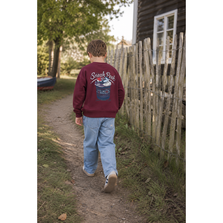 The New THE NEW sweater jongen Vitalio Burgundy (bordeaux)