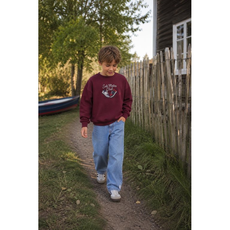 The New THE NEW sweater jongen Vitalio Burgundy (bordeaux)