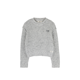 Labo de Colores Lennart | Sweater | Grey melange multicolor