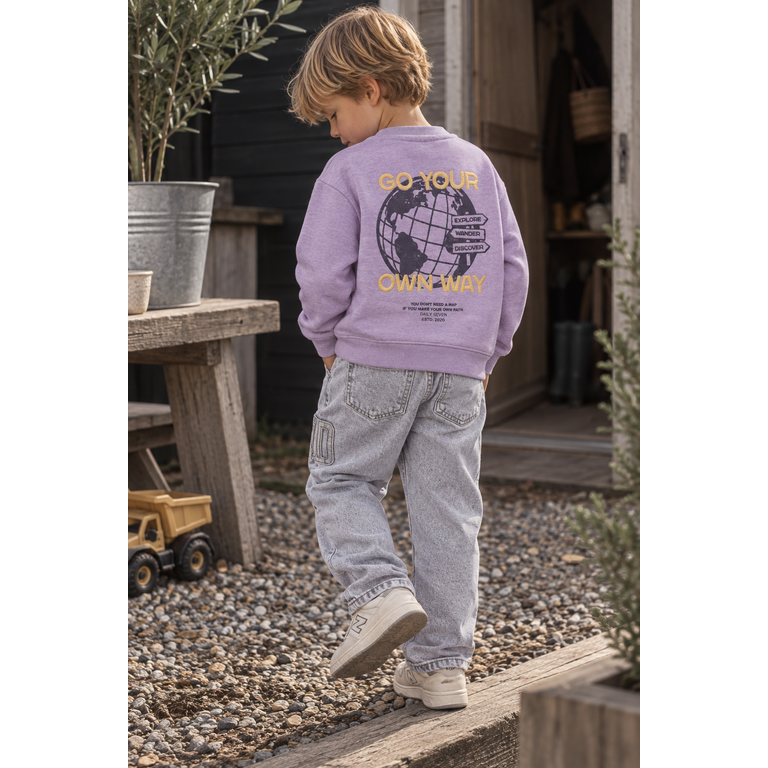 Daily7 Daily7 oversized sweater jongen Backprint Purple Melange (paars melange)