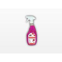 Professional Washroom Cleaner - RTU 750ml