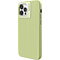 Nudient Nudient Bold Case Apple iPhone 12/12 Pro Leafy Green