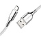 Cygnett Cygnett Armoured Braided USB-C to USB-A Cable 1m White