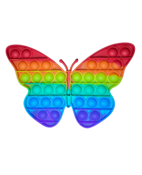 Papillon rainbow
