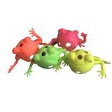 Squishy frog Squishy frog