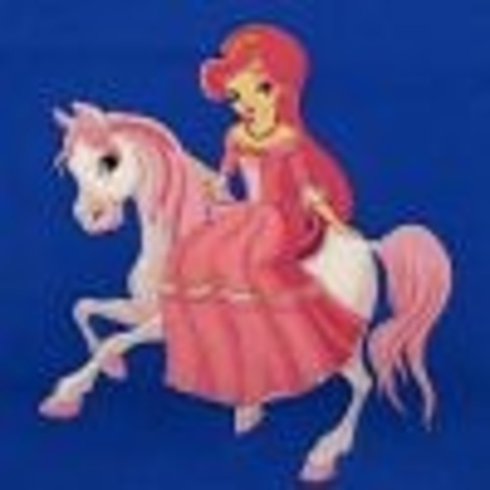 Kinderzakdoeken - prinses  /prijs voor10st pak