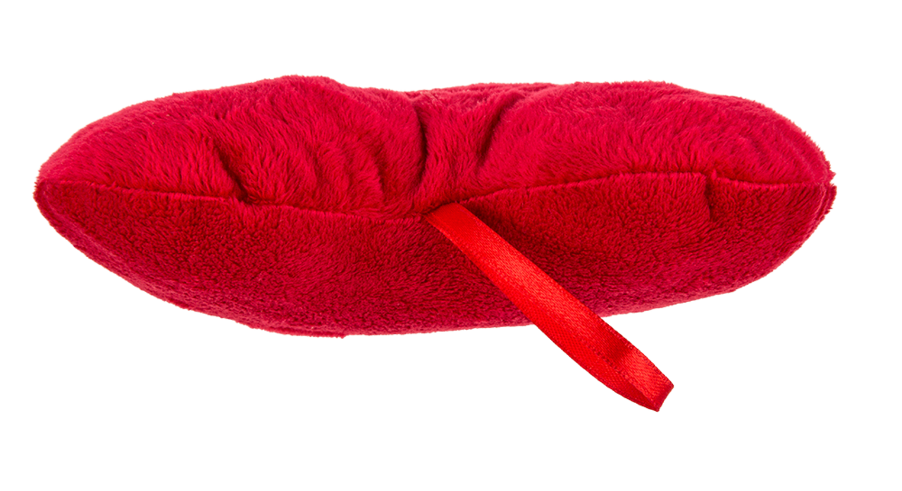 Rood pluche hart I Love You 26 cm