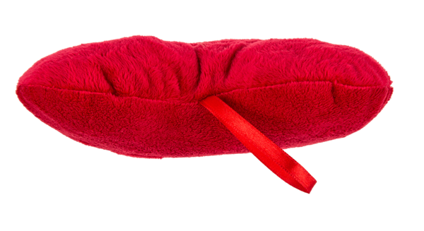 Rood pluche hart I Love You 26 cm