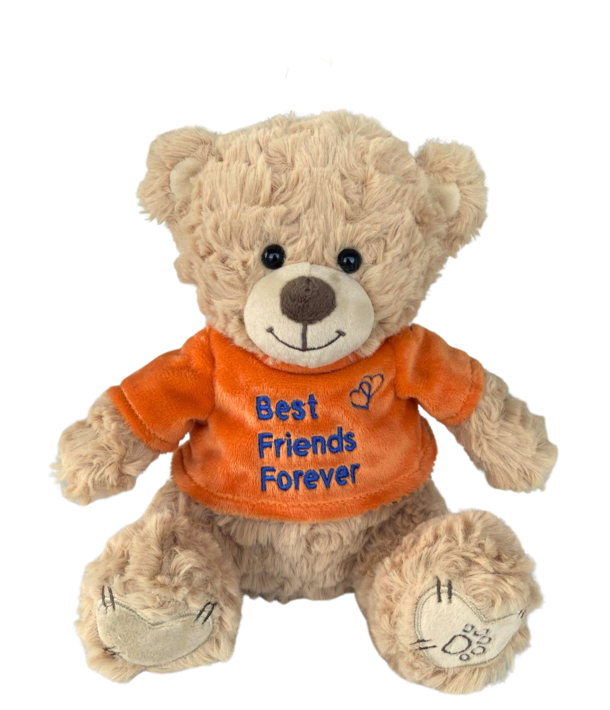 Dotti Bear Dotti Bear: Plush with T-Shirt BFF 20cm Dotti Bear Dotti Bear: Plush with T-Shirt BFF 20cm