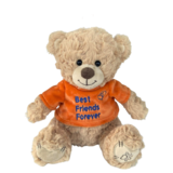 Dotti Bear Dotti Bear: Pluche met T-Shirt BFF 20cm Dotti Bear Dotti Bear: Pluche met T-Shirt BFF 20cm