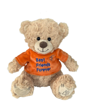 Dotti Bear Dotti Bear: Plush with T-Shirt BFF 20cm Dotti Bear Dotti Bear: Plush with T-Shirt BFF 20cm