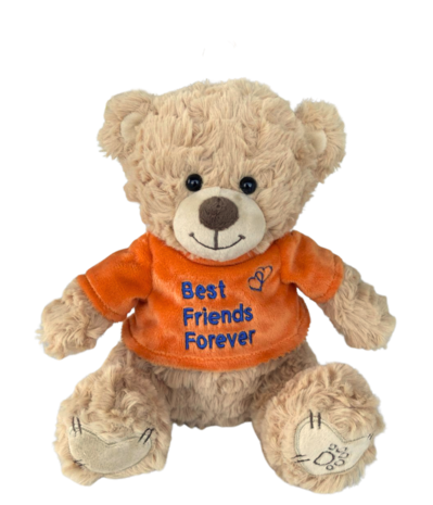 Dotti Bear Dotti Bear: Plush with T-Shirt BFF 20cm Dotti Bear Dotti Bear: Plush with T-Shirt BFF 20cm