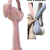 BellaBelga - Belgisch merk Kids long earmuffs with sound and floppy ears - rabbit - mix of 5 colors BellaBelga - Belgisch merk Kids long earmuffs with sound and floppy ears - rabbit - mix of 5 colors