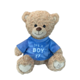 Dotti Bear Dotti Bear: Plush Toy with T-Shirt It's a Boy 30cm Dotti Bear Dotti Bear: Plush Toy with T-Shirt It's a Boy 30cm