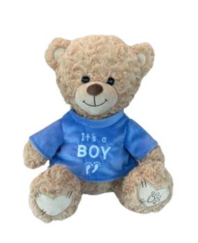 Dotti Bear Dotti Bear: Plush Toy with T-Shirt It's a Boy 30cm Dotti Bear Dotti Bear: Plush Toy with T-Shirt It's a Boy 30cm