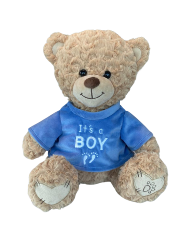 Dotti Bear Dotti Bear: Plush Toy with T-Shirt It's a Boy 30cm Dotti Bear Dotti Bear: Plush Toy with T-Shirt It's a Boy 30cm