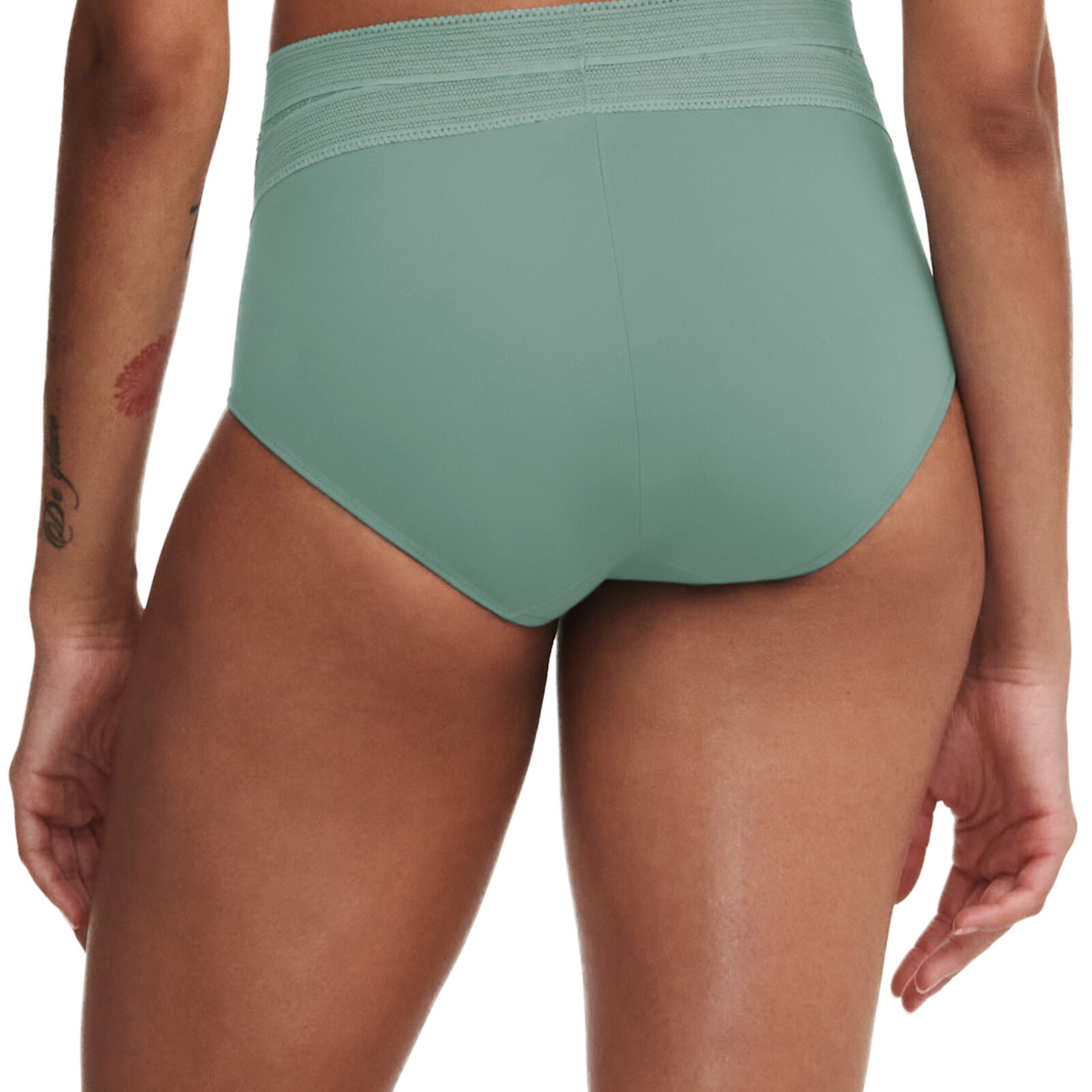 Chantelle True Lace Very Covering (Trellis Green)