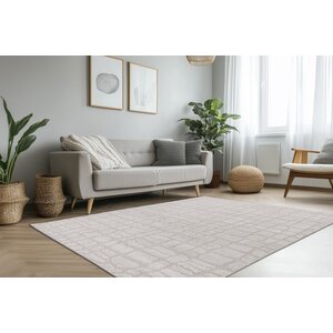 Japandi Vloerkleed  Light Grey 200x290
