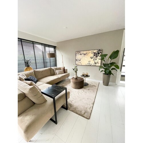 Velvet Vloerkleed Champagne 200x300 Velvet Vloerkleed Champagne 200x300