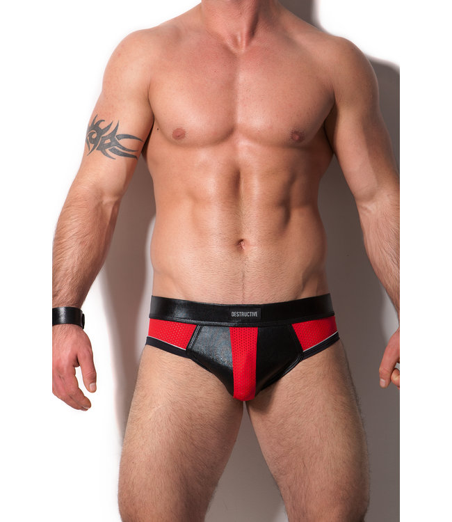 Destructive Brief Red Mesh