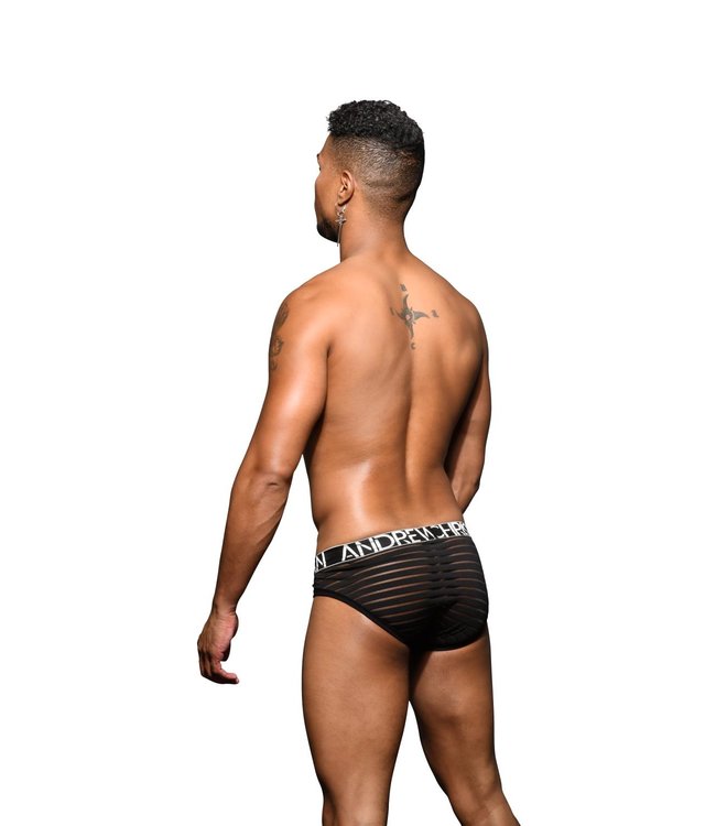 Andrew Christian Mesh Stripe Brief Almost Naked