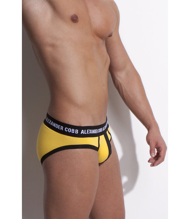 Alexander Cobb Slip Yellow