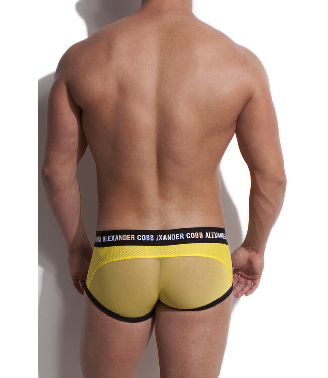 Alexander Cobb Trunk Yellow
