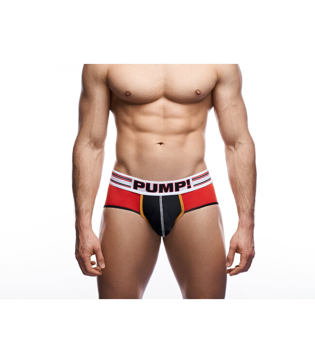 PUMP Circuit Brief