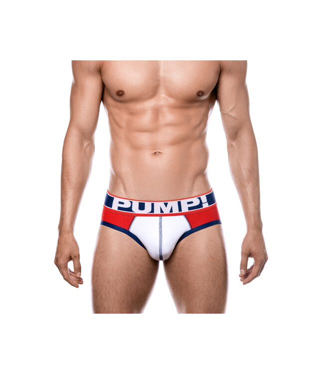 PUMP Fever Brief
