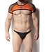 Alexander Cobb Short Crop Top Orange