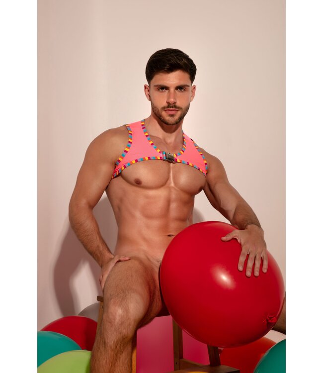 STUD Harness Theo Pink