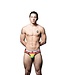 Andrew Christian Pride Stripe Brief w/ ALMOST NAKED® Andrew Christian Pride Stripe Brief w/ ALMOST NAKED®
