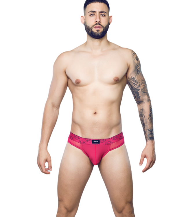 2 Eros Himeros Brief Raspberry