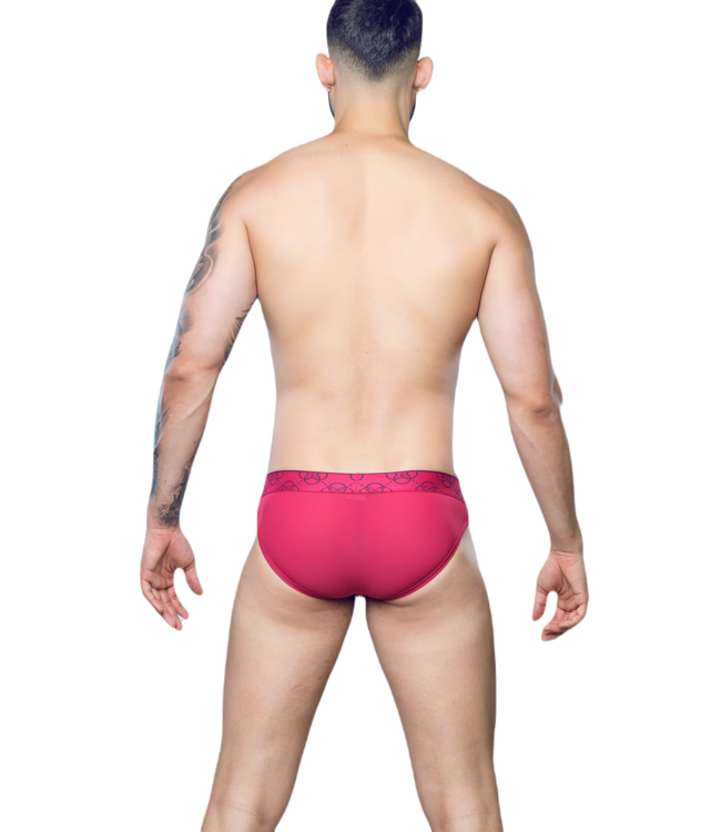 2 Eros Himeros Brief Raspberry
