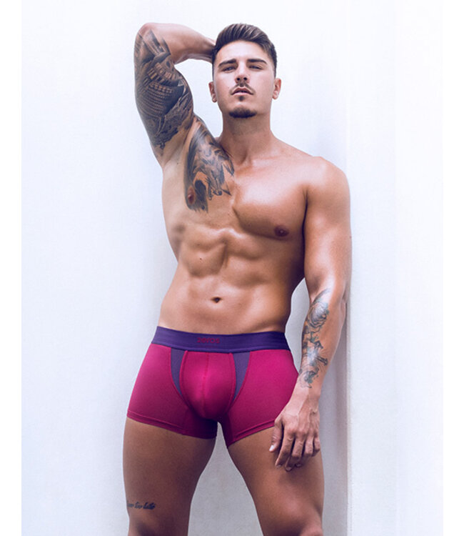 2 Eros AKTIV Cronus Trunk Beet Red